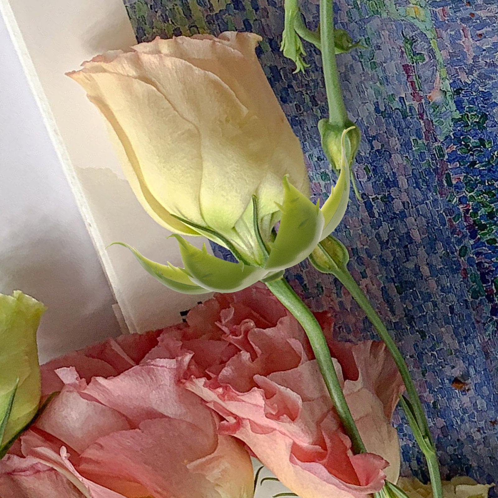 50 pièces de calices de roses  - Soap Making Ins avis et prix